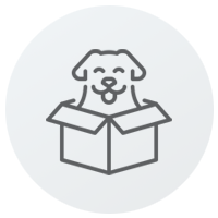 Hund mit Hundesteuermarke icon